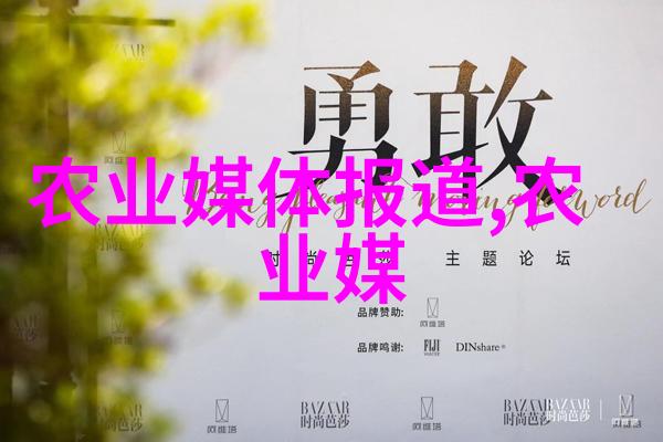 花卉种子播种方法我来教你如何轻松让这些小家伙长大成美丽的花朵