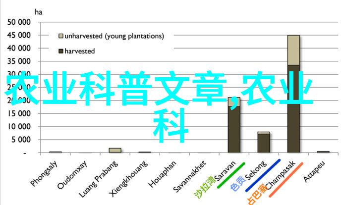 中国茶叶的古老起源从神农架到普洱山