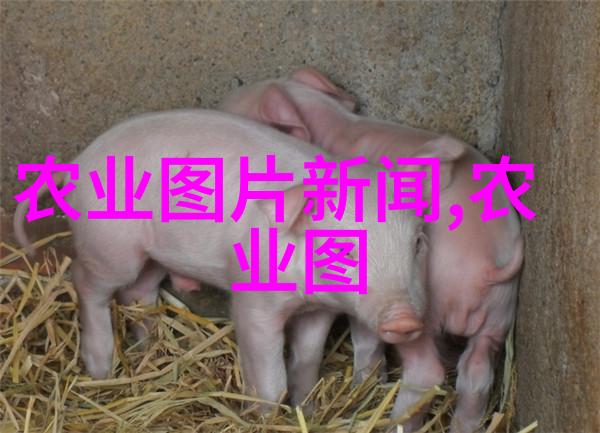 绿色财富探索种植业的高收益项目