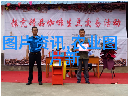 探秘无问之物揭开古代智者追寻的神秘面纱