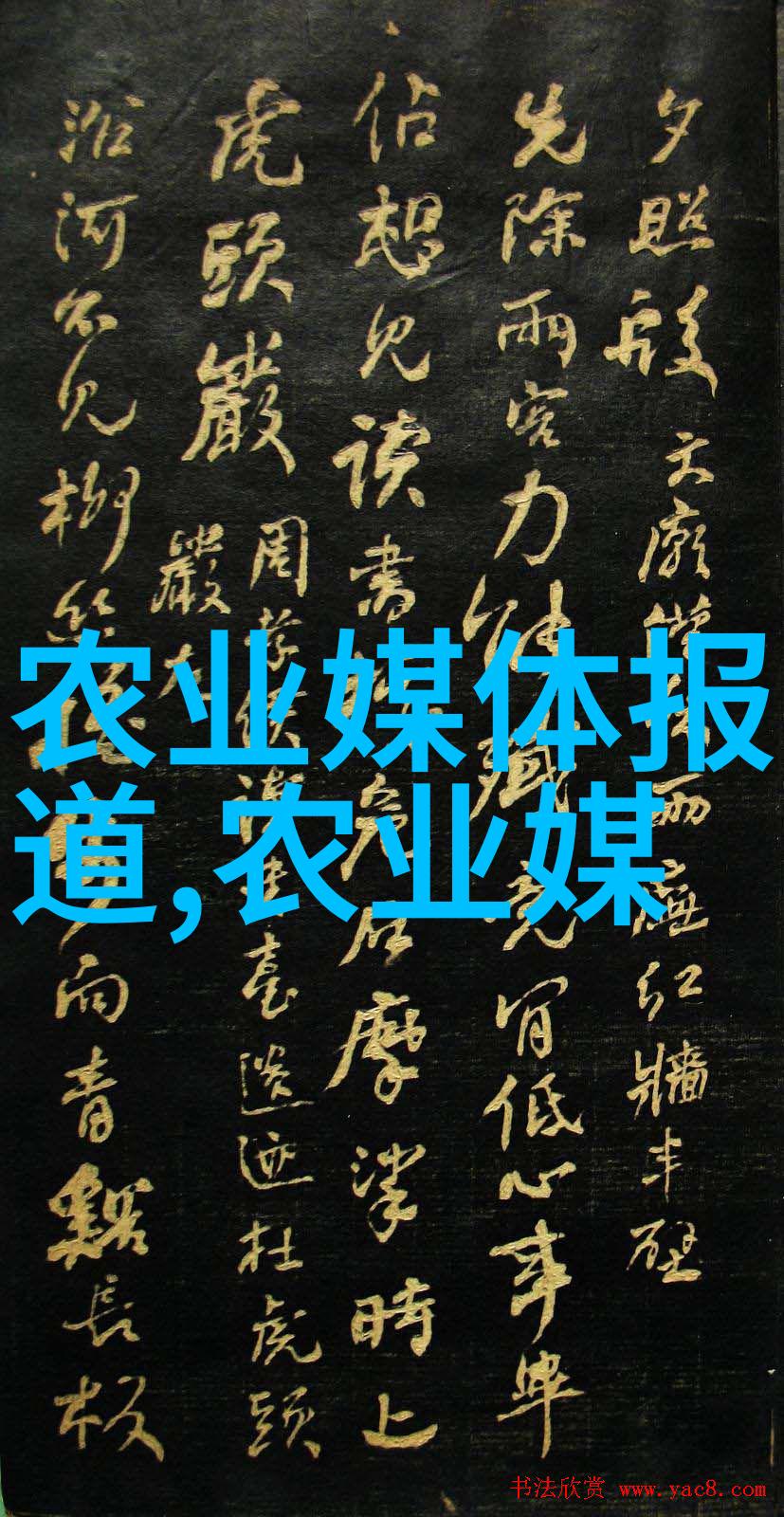 春意盎然的园艺宝库花卉苗木价格全览