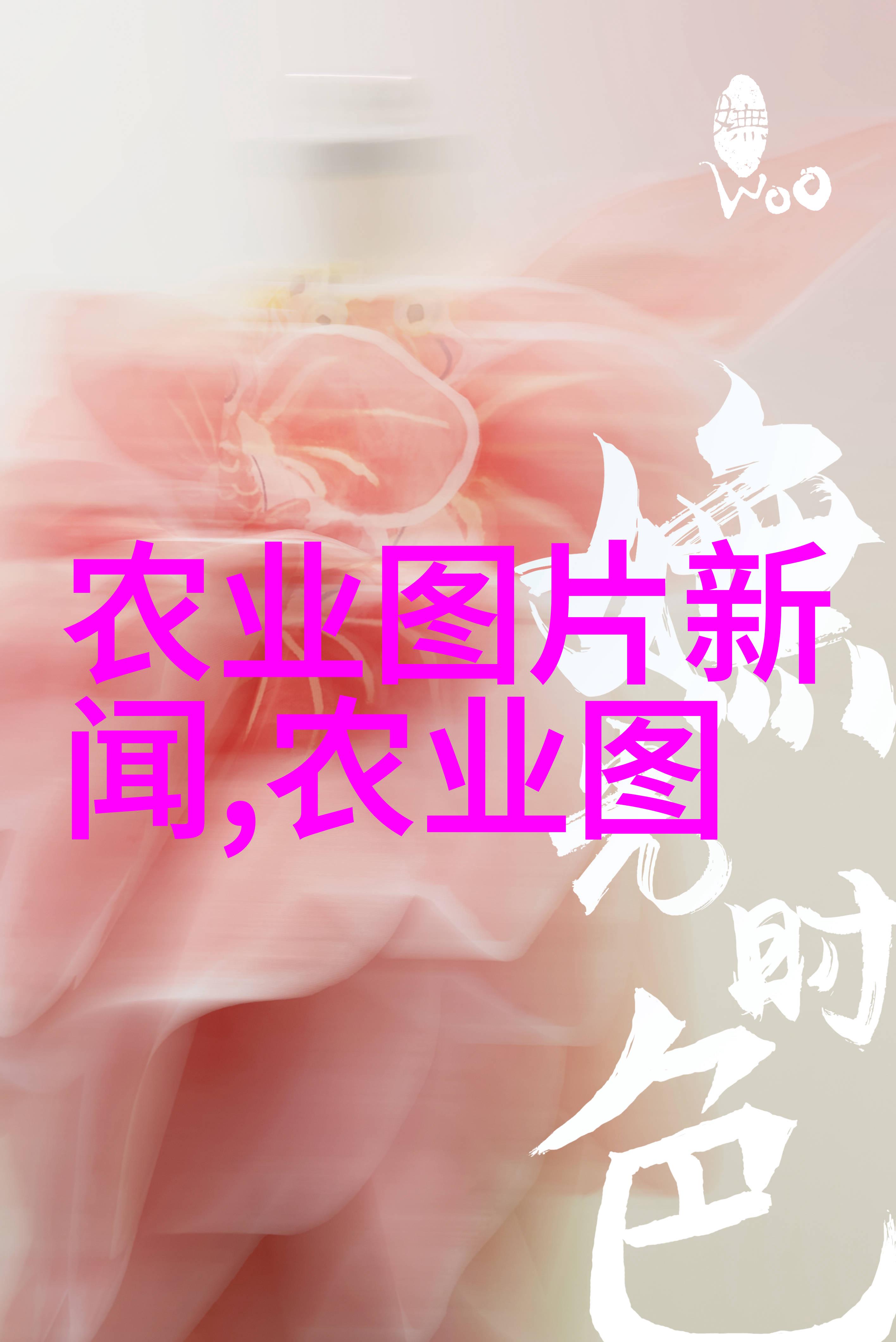 茶树的定义我眼中的那棵温柔的茶树