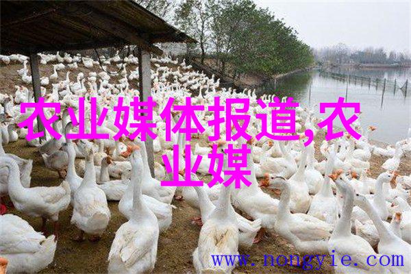 绿萝的离去与鬼魂的纠葛