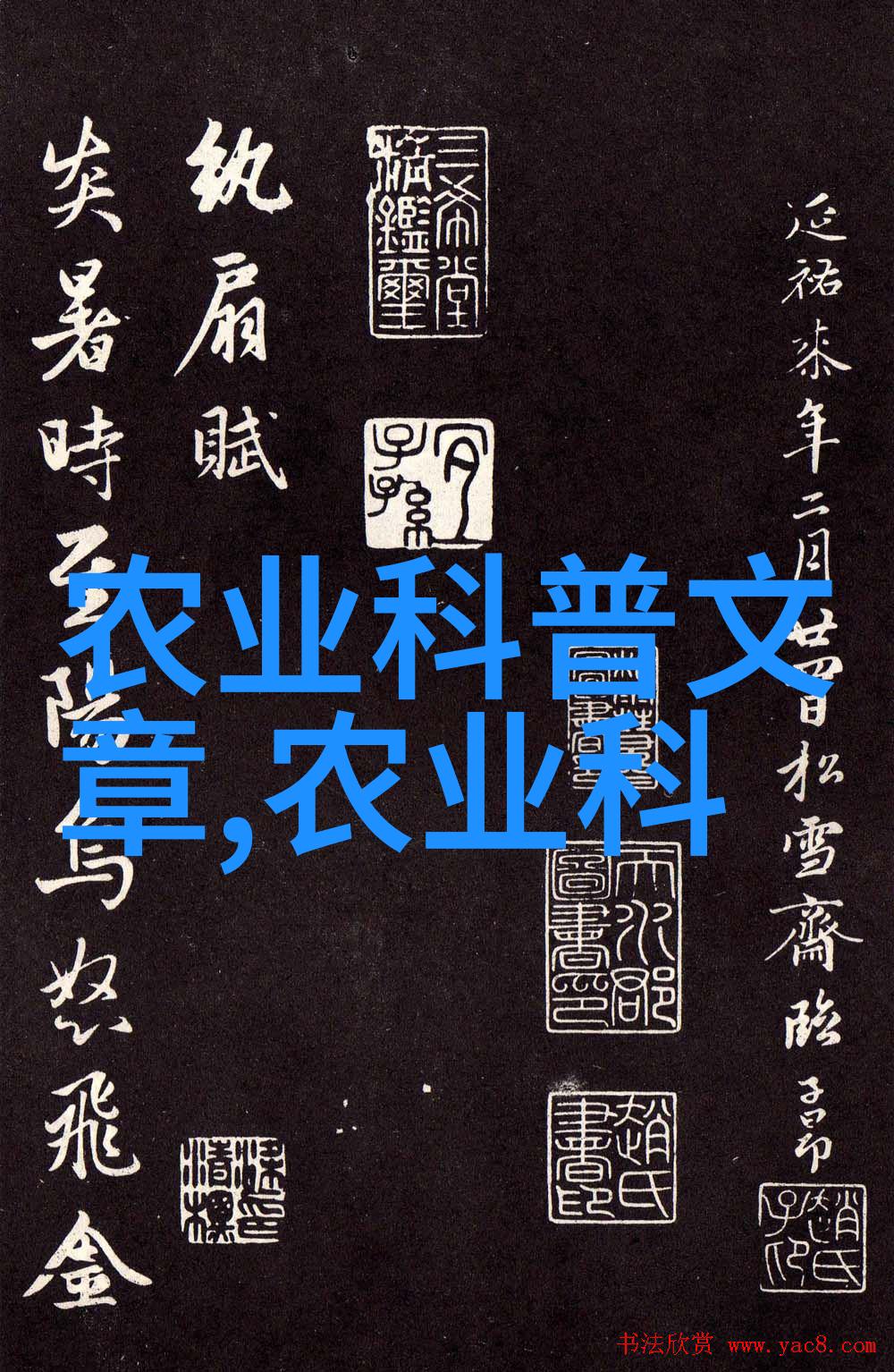 农资产品-丰收季节探索农场的生机与农资产品的重要性