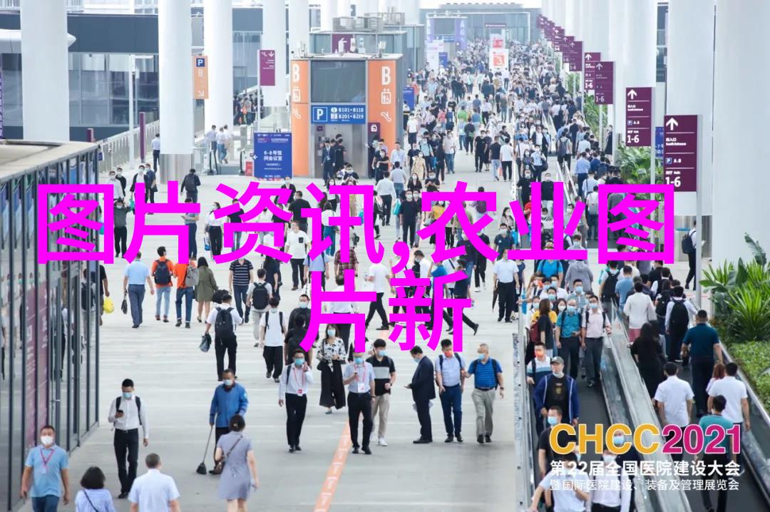 云南花海探索十大花卉基地的魅力与文化