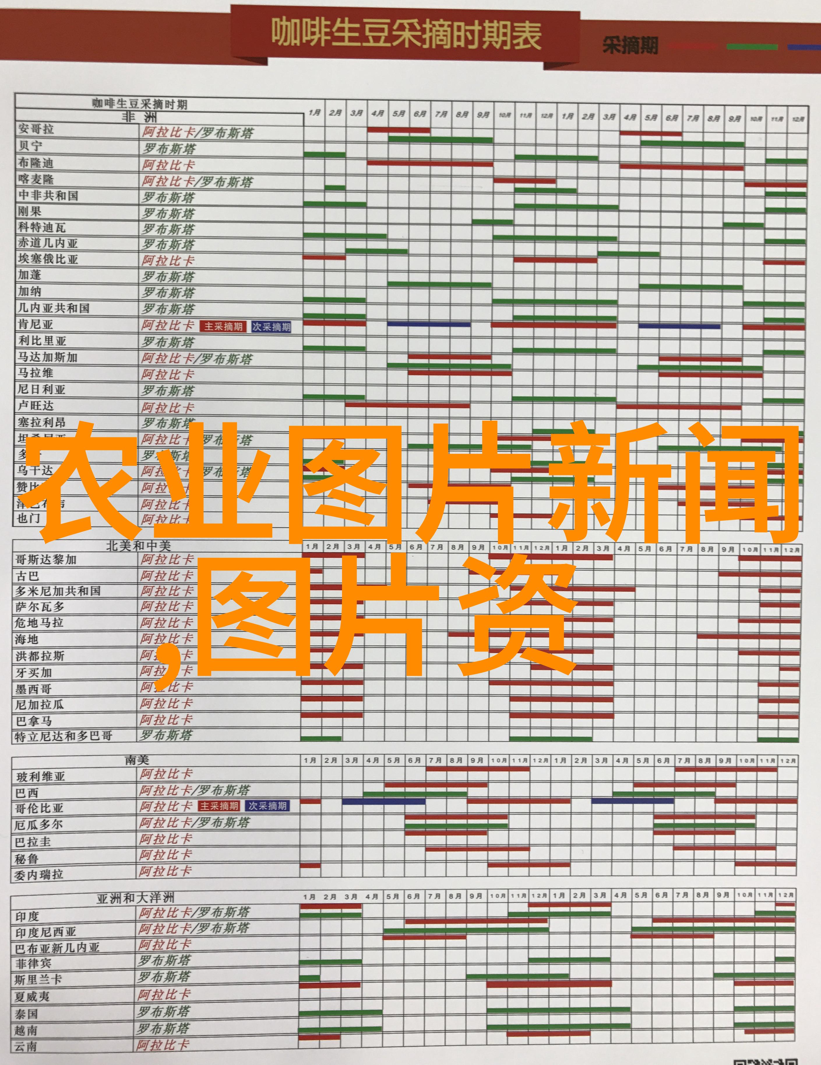 把都市小伙伴丢到山里学习园艺和创意种植