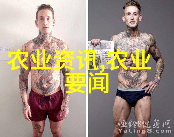 三农蔬菜种植技术我来教你怎么种出超级美味的家乡蔬菜