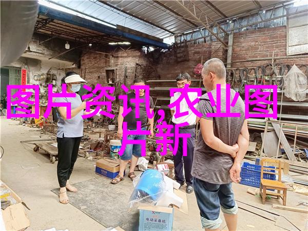 云南花卉批发基地探秘揭秘大理昆明与曲靖的鲜花宝地