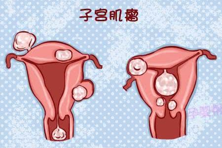 农业生产技术的现代革命智能化与可持续发展的新篇章
