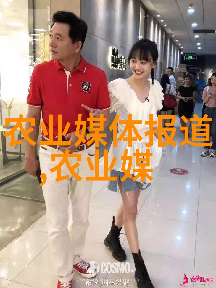 秸秆打包机之谜如何高效转化农村废弃物为价值资源