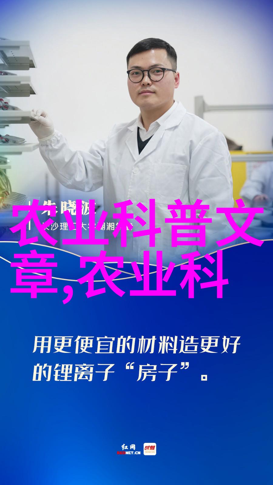 冬眠前夕冬季温室蔬菜种植的关键时刻
