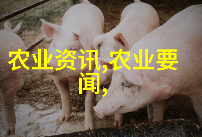 CPI指数解析消费者价格水平的变动与影响