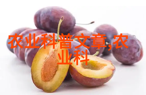 家庭盆景花卉图片大全来看我家美丽的绿植吧