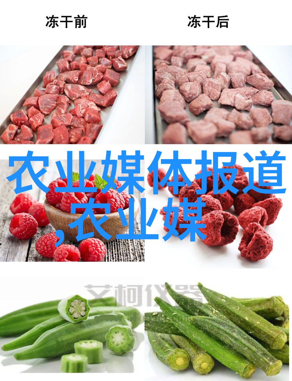 耕耘智慧探索农业的核心含义与发展趋势
