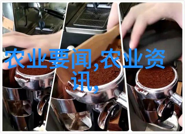 鲜花盛宴斗南批发市场的色彩