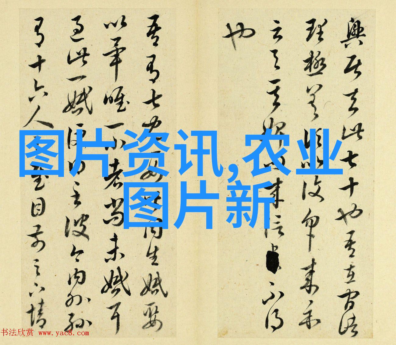 蚯蚓养殖技术 - 优化土壤结构探索高效的蚯蚓养殖方法