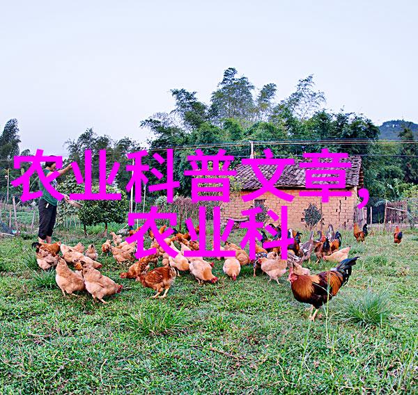 冬日绽放寻找室外耐寒的花朵秘密