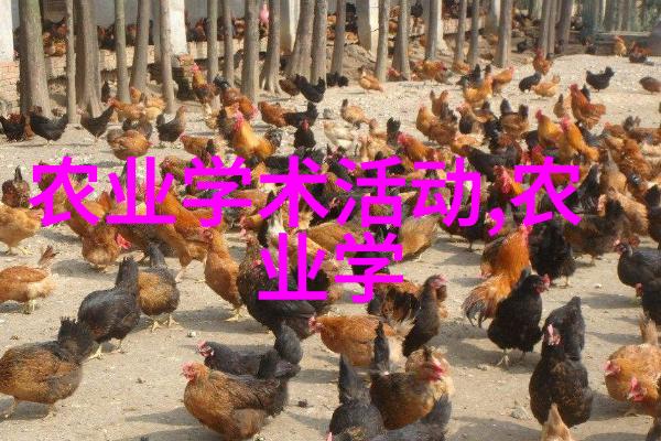 中国养殖网公司名称-智慧绿色中国领先的现代化养殖网络企业