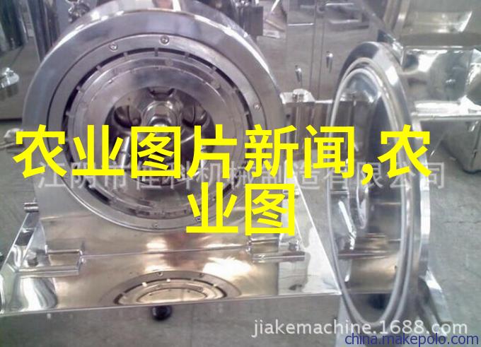 春季迎来花海郁金香的种植方法与最佳时间