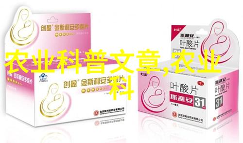 拆除暴力重塑社会秩序的必要行动