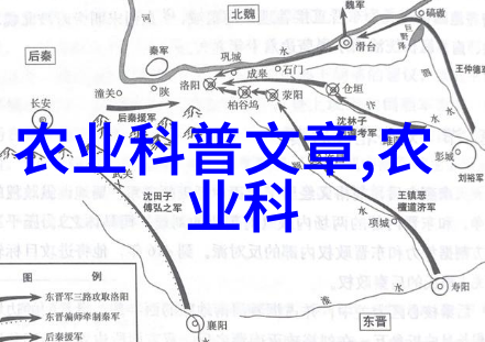 有机蔬菜大棚种植基地生态农业绿色食品现代农业技术