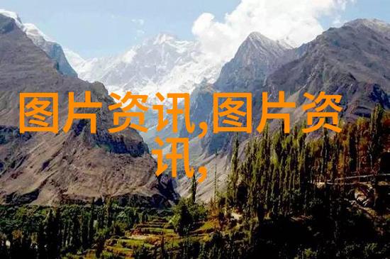 回收之种未来的绿茵与隐秘的种子