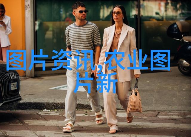 茶叶分类全解从普洱到绿茶探索中国茶文化的多样面貌