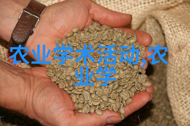 圈养肉牛养殖技术揭秘母牛经济杂交的智慧与挑战
