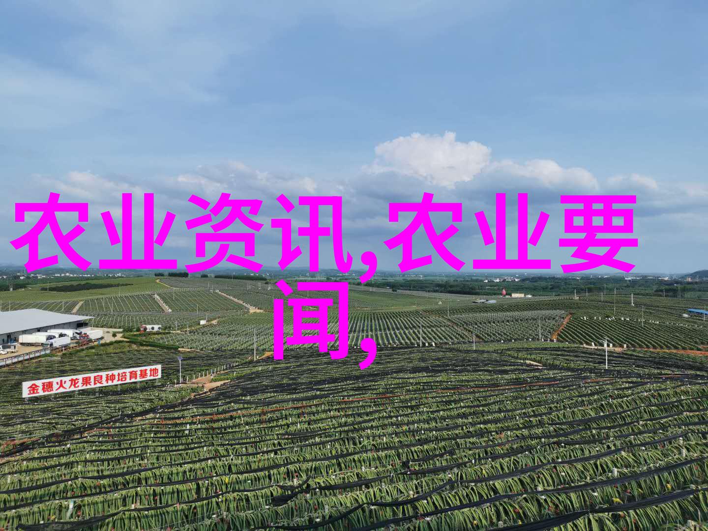 月下血瞳妖巫的诅咒与传说