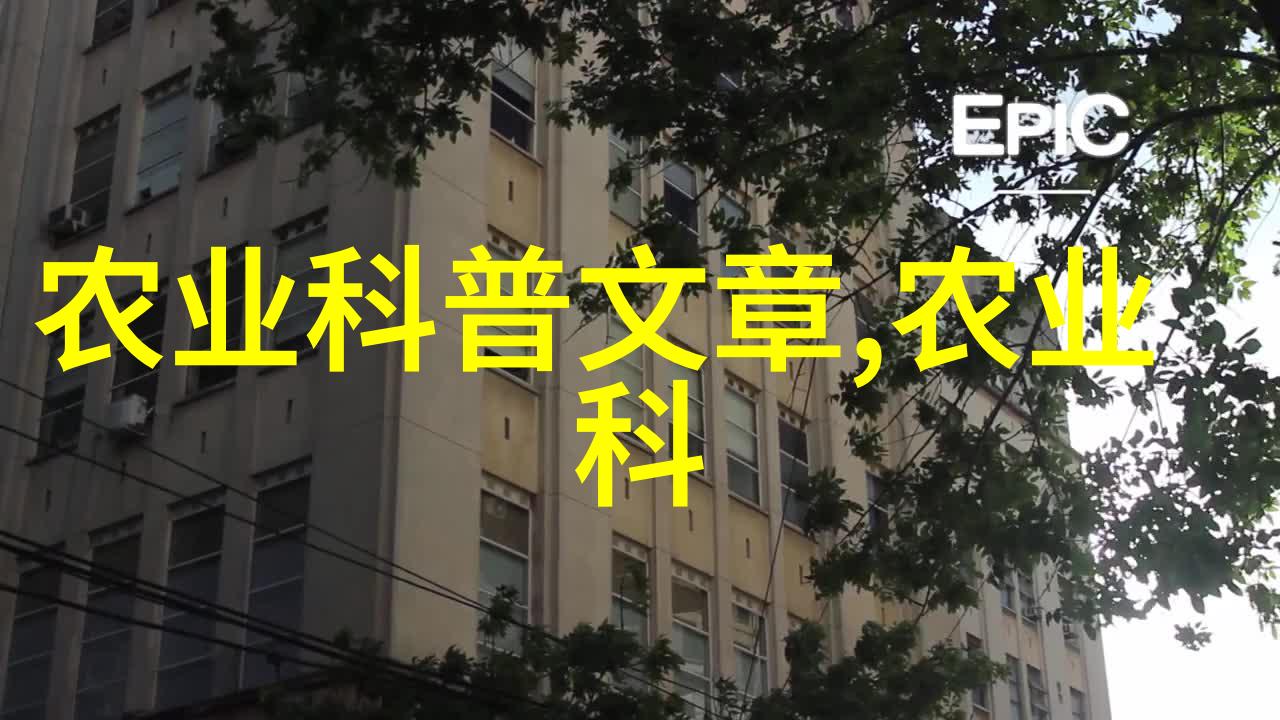 水果种子有哪些图片我来告诉你那些超级棒的照片