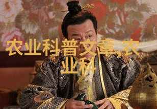 音频情感共鸣边做边爱的MP3视频艺术探索