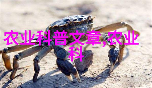 养殖行业的未来展望智能农业发展趋势