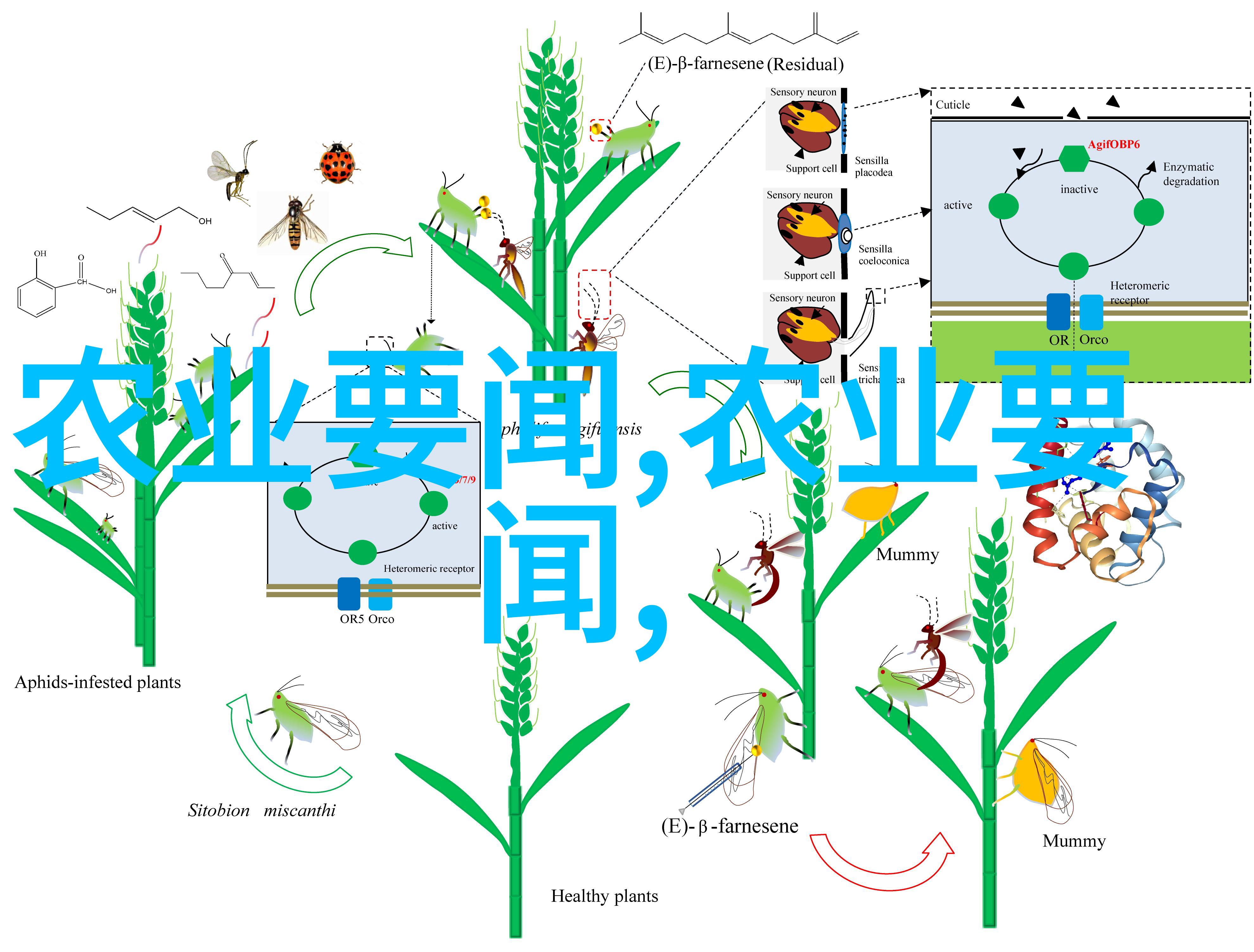 神算四部揭秘古代智慧与数术之美