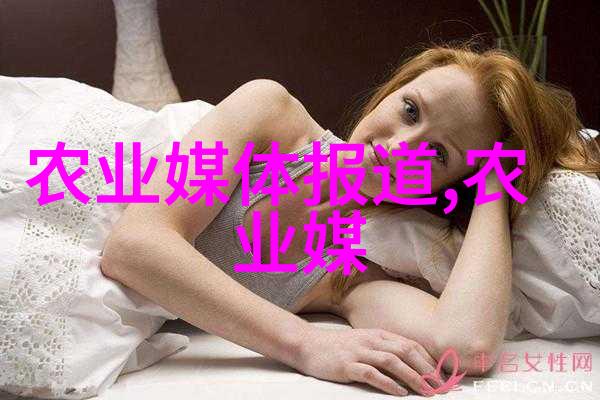 水泥搅拌车 - 混凝土工程的钢铁巨人水泥搅拌车的重要性与挑战