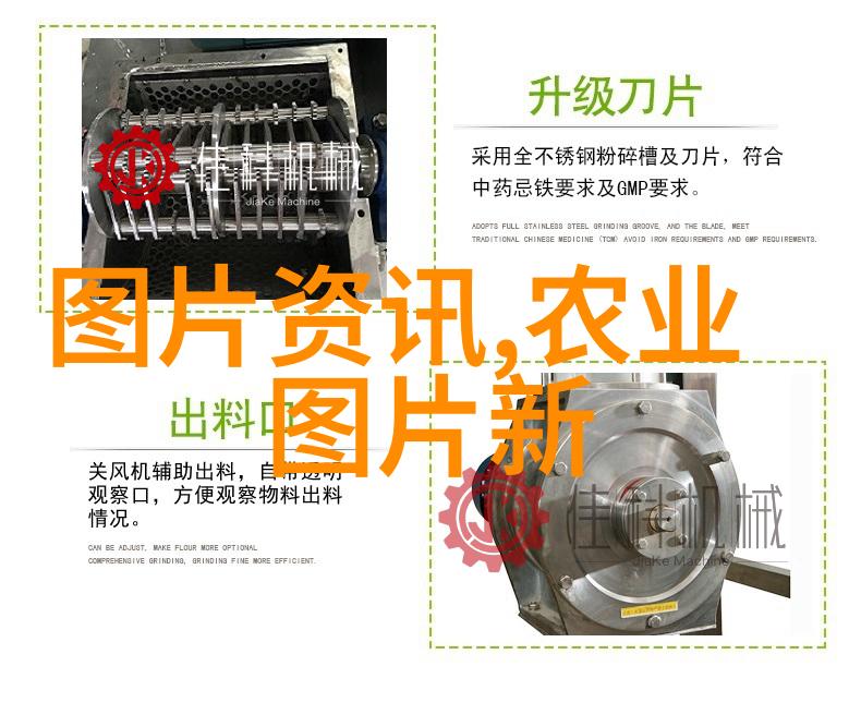 西洋菜-品味欧洲探索西洋菜的文化与烹饪艺术