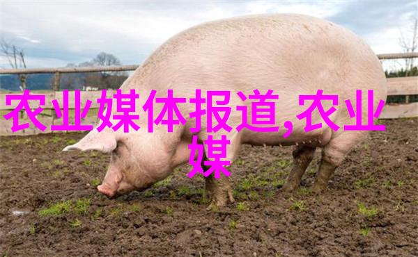 深入浅出中药材种植技术培训的全方位解析
