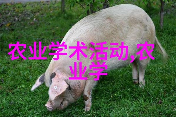 绿植花卉图片大全色彩斑斓的室内植物与鲜艳美丽的野外花朵