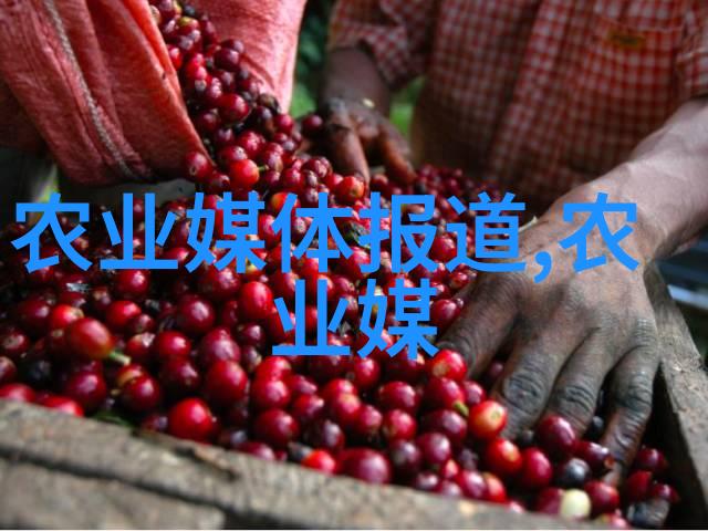 穷人养羊越养越穷咱们来聊聊为什么会这么说