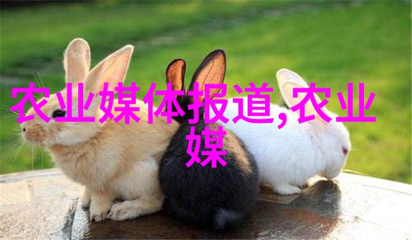 蛙语园艺揭秘青蛙养殖的艺术与科技