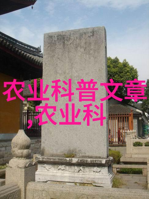 7一8月份种什么蔬菜探索最佳时机的秘密花园