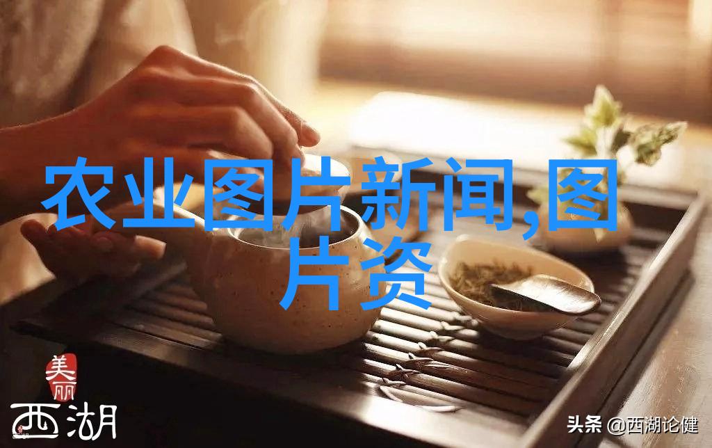 品味沉淀茶艺的奥秘与魅力