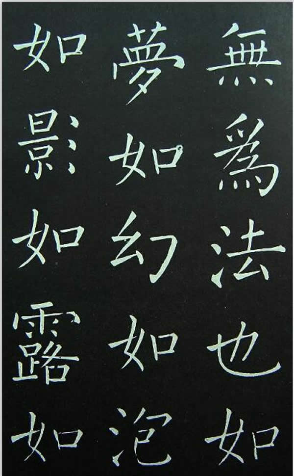 探索世界之花各种种子的图片与名字