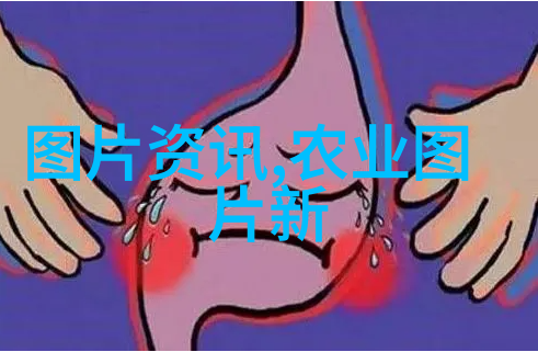 丰收宝库探索农村适合的多元养殖业模式