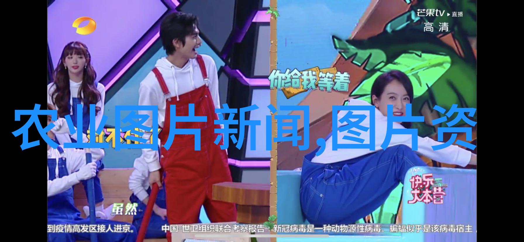 绿意盎然的财富苗木造价信息网的智慧之花