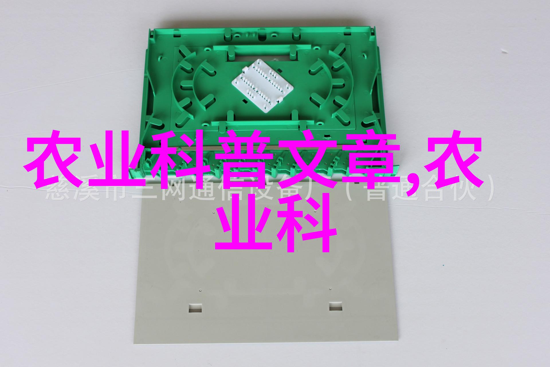 家园里的甜蜜果实亲手种植的水果秘诀分享