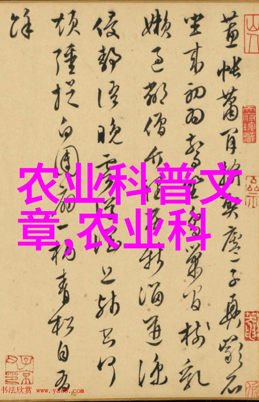女生是否应该学习数字媒体技术