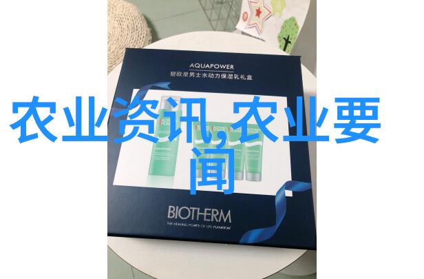 民法典目录解析剖析新时代个人权利与义务的基石