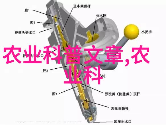精彩小盆探索好养的小型盆栽花卉世界