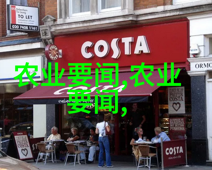 蜂巢维护技巧如何清理和修理蜂巢