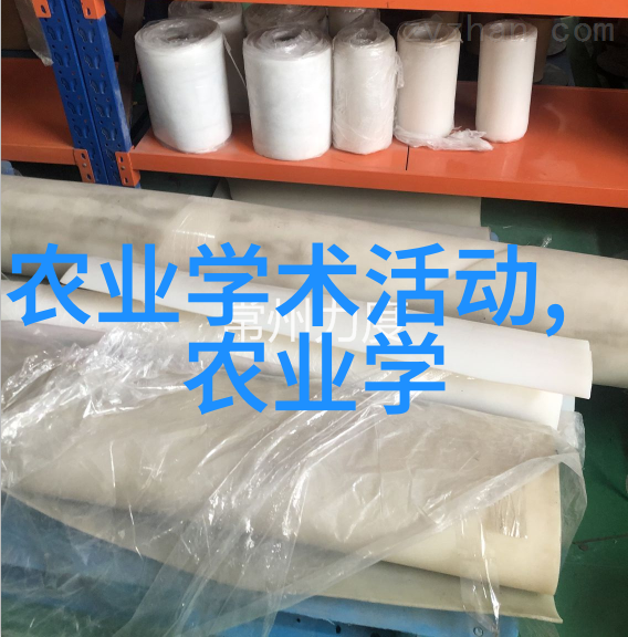 翠绿常伴多年生草本植物的生长秘诀与园艺应用